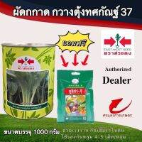 เมล็ดพันธุ์ กวางตุ้งทศกัณฐ์ 500gแถมกูซิก้าจีซองเล็ก