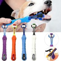 Pet Toothbrush Oral Cleaning and Care products Plastic Cat Medium-sized Dog Cat and Dog Three-head Toothbrush