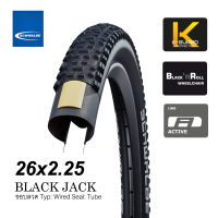 ยางนอกจักรยาน Schwalbe Black Jack 26 x 2.0, x2.25 ยางทัวร์ริ่งดีๆ สำหรับสายลุย ทางดิน ทางโคลน มาจ้า ทางดำก็สบาย ทนทานใช้นานหลายปี