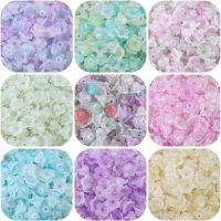 100Pcs Transparent Acrylic Gradual Change Two-Color Flower Beads Spacer Necklace DIY Jewelry Accssories