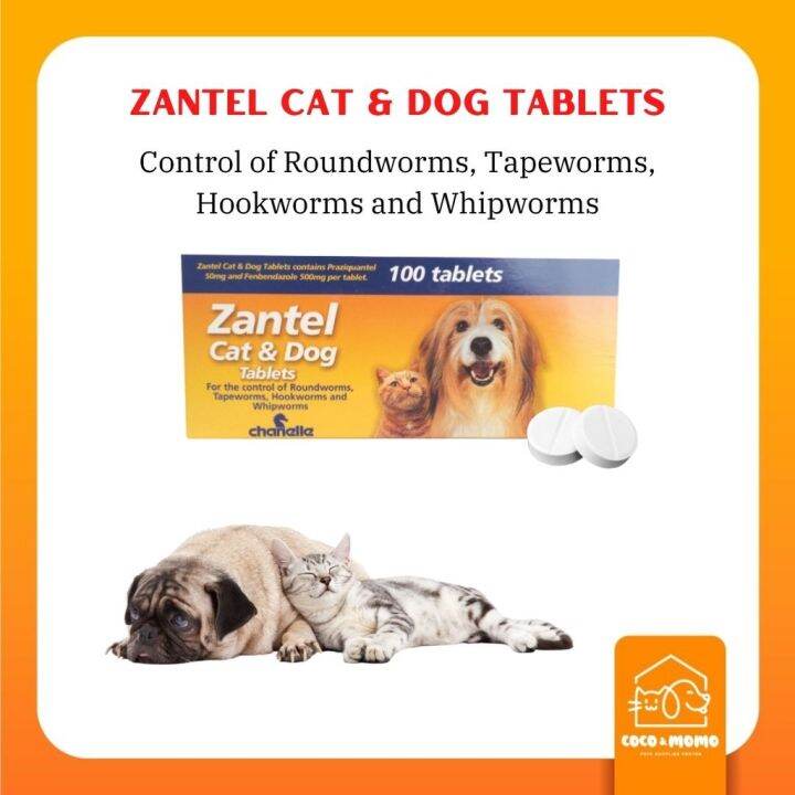 Zantel Pet Dewormer Cat & Dog 1 Tablet Lazada