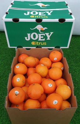 ส้ม ส้มแมนดาริน ออสเตรเลีย (ตราจิงโจ้ JOEY กล่องเขียว) AUS #56,64 ลูก/ลัง นำเข้าจากออสเตรเลีย (น้ำหนักชั่งรวมลังประมาณ 9 กิโลกรัม)