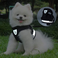 Pet Dog Reflective Nylon Mesh Harness and Leash Collar Set Vest Comfortable and Breathable Pets Anti Lost Pets Acessorios Perros