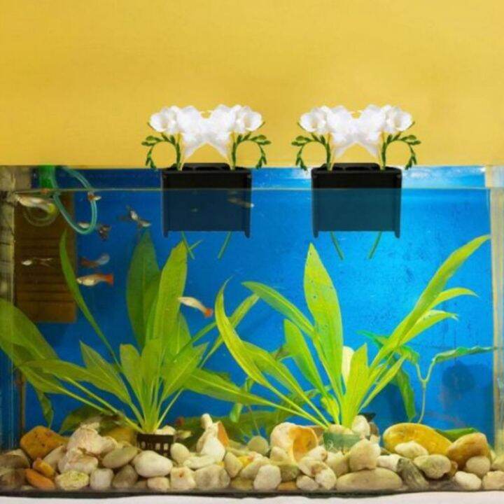 Integrated clearance fish tank