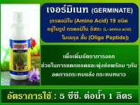 อมิโน กรดอะมิโน 19ชนิด Amino Acid 100% สารชีวภาพ 100% วัคซีนพืช พืชหายเครียด พืชทนแล้ง ร้อน ฝน หนาว พืชแข็งแรง ฉีดได้ทุกช่วง เจอร์มิเนท 2 ขนาด