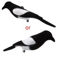 Magpie Bird Painted Decoy สำหรับ Shell Outdoors Shot Hunting Shooting Lures Bait Tool