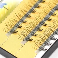 Grafting World 10D Natural Eyelash Extensions Mink Black Fake False Eyelashes Curl Natural Eye Grafting Individual Lashes