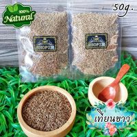 ?สมุนไพรแห้ง? เทียนขาว (ยี่หร่า) เมล็ดเทียนขาว ขนาด 50 กรัม Cumin Seeds