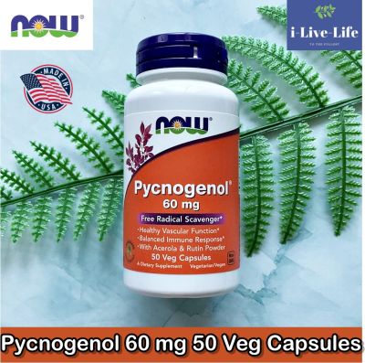 Pycnogenol สารสกัดจากเปลือกสนฝรั่งเศส 60 mg 50 Veggie Caps - Now Foods #พิกโนจีนอล
