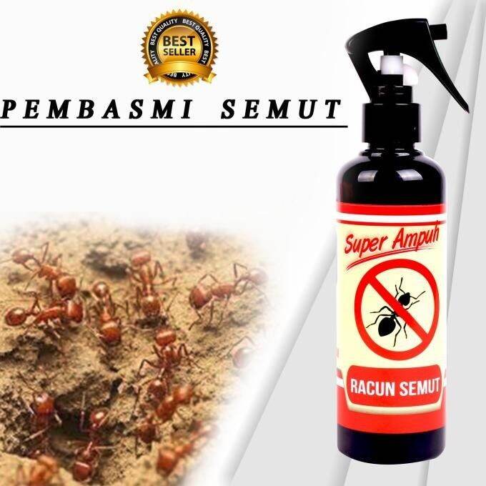 Racun Pembasmi Semut Super Ampuh Ukuran Ml Lazada Indonesia