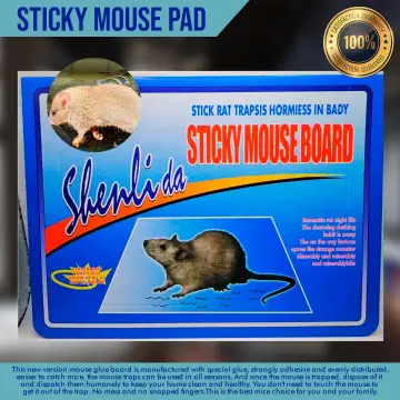 Mouse Trap Bucket Sticky Board Rat Glue Trap Mouse Rat Trap