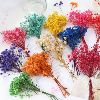 Mini Gypsophila Natural Dried Flowers Preserved Bouquet For Babysbreath Home Wedding Decoration Photography Backdrop Decor