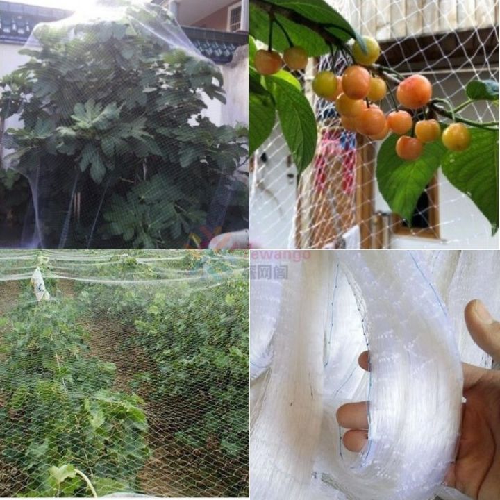 2-5cm-grid-transparent-white-nylon-anti-bird-screen-vineyard-fruit-trees-garden-protective-netting-agricultural-safety-cover