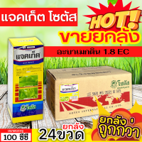 ? ?? สินค้ายกลัง ?? แจคเก็ต โซตัส (อะบาเมกติน) ขนาด 100ซีซีx24ขวด กำจัดหนอนกระทู้หอม หนอนกระทู้ผัก หนอนชอนใบ