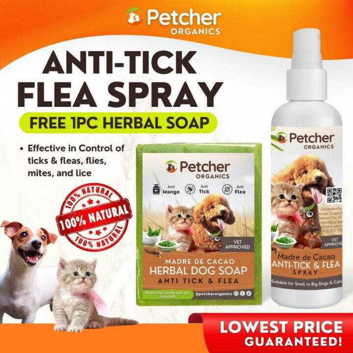 Petcher Anti Tick and Flea Spray 250ml FREE Herbal Soap Dog Spray for