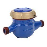 LXS20E 1/2 Liquid Sealed Water Meter Rotating Wing Dry E-Type Water Meter for Home Garden Water Measuring Meter