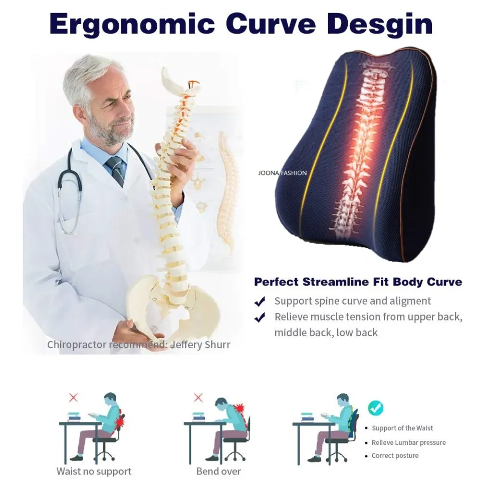 Winjoy Ergonomic Lumbar Support Pillow