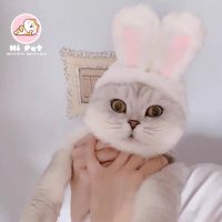 ✴Hi Pet Pet headgear หูกระต่าย #หูสั้น หมวกแมวและสุนัขที่มีหูกระต่ายHA01☬