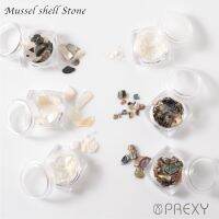 PREGEL THAILAND อุปกรณ์ตกแต่งเล็บ รุ่น PREXY MUSSEL SHELL STONE SET (SPRX6791)