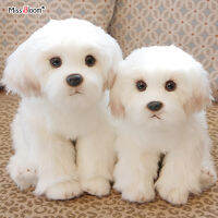 สีขาว Maltese ลูกสุนัขของเล่นน่ารักยัดไส้สุนัขจำลองสัตว์เลี้ยง Bichon ตุ๊กตาเท็ดดี้ตุ๊กตาทารกของขวัญวันเกิดสำหรับเด็กภาพ P Rop