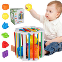 Colorful Shape Sorter Toy Set with 6 Blocks Plastic Sensory Sorting Toy Baby Sensory Cube