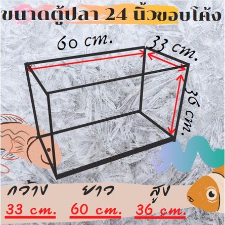 ตู้ปลาขอบโค้ง-ตู้นาโน-ขนาด-24-นิ้ว-33x60x36-cm-และ-23x60x28-cm-กระจกหนา-5-มิล