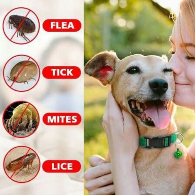ปลอกคอ-กำจัดเห็บหมัดสุนัขและแมว-ป้องกันเห็บหมัด-และแมลงรบกวน-flea-amp-tick-collar-สะดวกและปลอดภัย-เพื่อสุขภาพที่ดีของสัตว์เลี้ยง