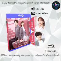 Bluray FullHD 1080p ซีรีส์จีน เรื่อง Accidentally Meow on You เหมียวเหมียวเกี่ยวใจให้เจอรัก : 3 แผ่น (เสียงจีน+ซับไทย) ** ไม่สามารถเล่นได้กับเครื่องเล่น DVD **