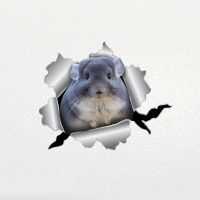 S62240 Car Sticker Chinchilla Pet Animal Waterproof Vinyl Decal Car Accessories Decor Pegatinas Para Coche