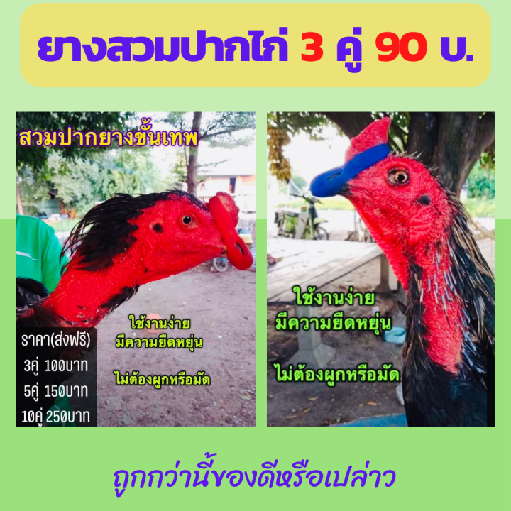 สวมปากยาง3คู่90บาท-นวมปากยาง-นวมไก่ชน-นวมปากไก่-นวมยางสวมปากไก่ชนไก่ชน-นวมปล้ำนวมออกกำลัง