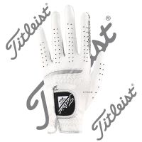 2023 NEW for☢❦✘ [Titleist] Golf Gloves Mens Lambskin Sports KG 3504 lather gloves