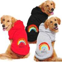 fashion large dog cat colorful rainbow clothes autumn winter puppy kitty kawaii clothes hoodies accesorios puppy jumper designer