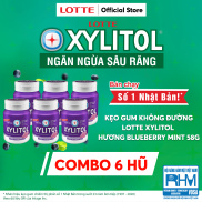 Combo 6 hộp Kẹo Gum không đường Lotte Xylitol - Hương Blueberry Mint 58 g