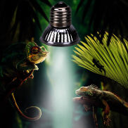 Đèn Sưởi UVA + UVB 3.0 Cho Rùa Bò Sát Quang Phổ Đầy Đủ Sunlamp Basking Vật