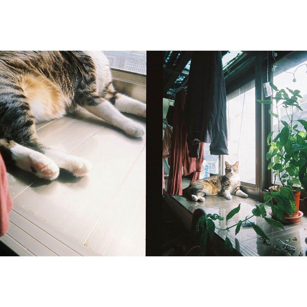 Kodak Ektar H35 Half Frame 35mm Film Camera กล้องฟิล์มรีฟิลพร้อมไฟ