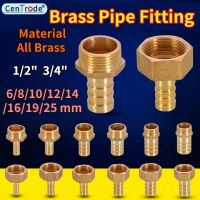 Brass Hose Fitting 6/8/10/12/14/16/19/25mm Barb Tail 1/2 3/4 BSP Male Female Thread Copper Connector Coupler Brass Fittings