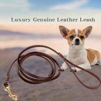 Caryfp 130cm 180cm Small   Medium Dog Leash Durable for Dogs Cats