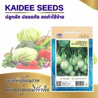 เมล็ดมะเขือเปราะ ซุปเปอร์ตอแหล 01 ตราเจียไต๋ EGGPLANT  ประมาณ340เมล็ด เมล็ดมะเขือ เมล็ดพันธุ์มะเขือ เมล็ดผักสวนครัว เมล็ดมะเขือตอแหล