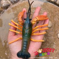 Monkey Toys - โมเดลสัตว์ Crayfish กุ้งมังกรเล็ก เขียว ขนาด 18.00 CM (จากหาดใหญ่)