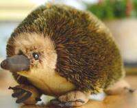 Echidna High Fidelity Anime Cute Mole Plushie Spiny Anteater Plush Toys Lifelike Animals Simulation Stuffed Doll Kawai Toy Gifts