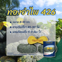 ทองอำไพ 426 เมล็ดพันธุ์ฟักทอง 100กรัม เจียไต๋ กระป๋องใหม่สีน้ำเงินแล้วจ้า