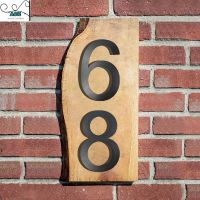 【LZ】☑  20cm 304 Stainless Steel House Number Outdoor Floating Sign Door Numbers Building Signage Huisnummer Numeros Casa Address