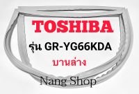 ขอบยางตู้เย็น TOSHIBA รุ่น GR-YG66KDA (บานล่าง)