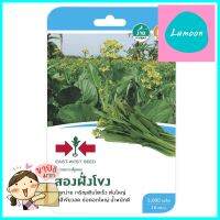 ผักกาดกวางตุ้งดอกสองฝั่งโขง ศรแดงPAK CHOI SEED EAST-WEST SEED SONGFANGKLONG **สามารถออกใบกำกับภาษีได้ค่ะ**