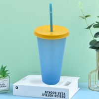 1/5 Pcs Color Changing Cup Reusable Plastic Tumbler With Lid And Straw 15° Cold Cup Straw Water Bottle Drinkware Kitchen Gadgets