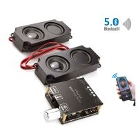 5.0บลูทูธ20W ลำโพงวิทยุพกพาคลาส D เครื่องขยายเสียง2.0เสียง Hifi DIY บ้าน T ลำโพงทีวีจอแอลซีดี