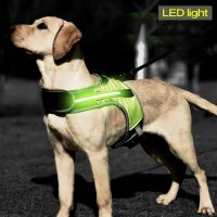 LED Luminous Dog Harness Light Up Dog Chest Strap Vest Safety Reflective Harness Collar Vest For Husky shepherd Lador