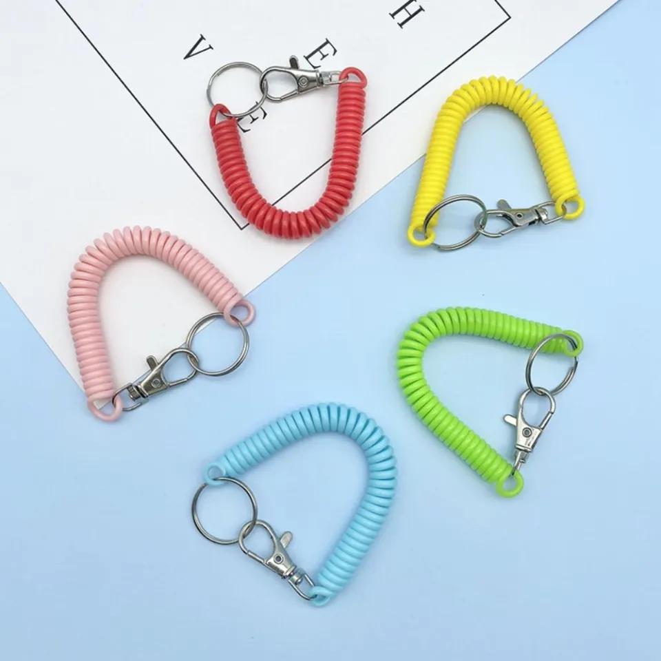 Cobee Coil Springs Keychain, 10 Pcs Retractable Coil Springs Keychains with  Lobster Clasp, Spring Coil Leash Cord Safety Ropes, Cell Phone Elastic