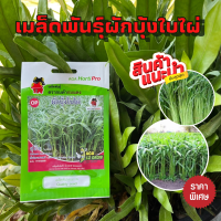 เมล็ดพันธ์ุกบดำกบแดง - ผักบุ้งใบไผ่ OP ( ผักซอง , เมล็ดพันธุ์ปักราคาถูก พร้อมส่ง )