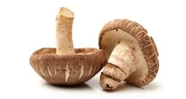 Shitake Mushroom / Cendawan Shitake 200g +